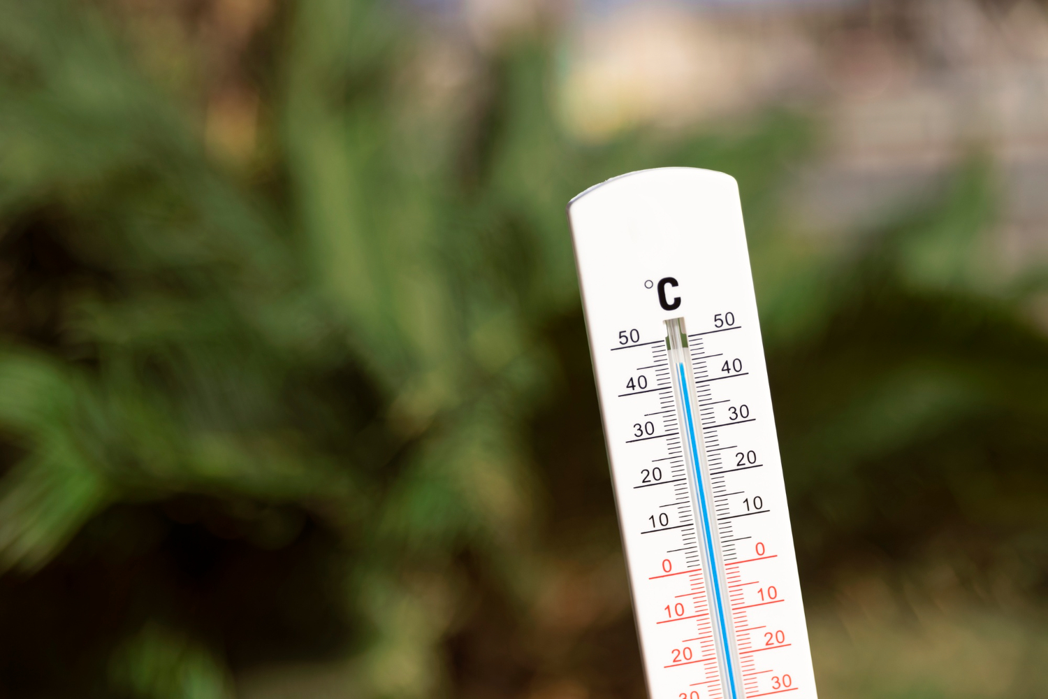 Crveni meteoalarm upaljen i danas za dijelove BiH Crveni meteoalarm upaljen i danas za dijelove BiH