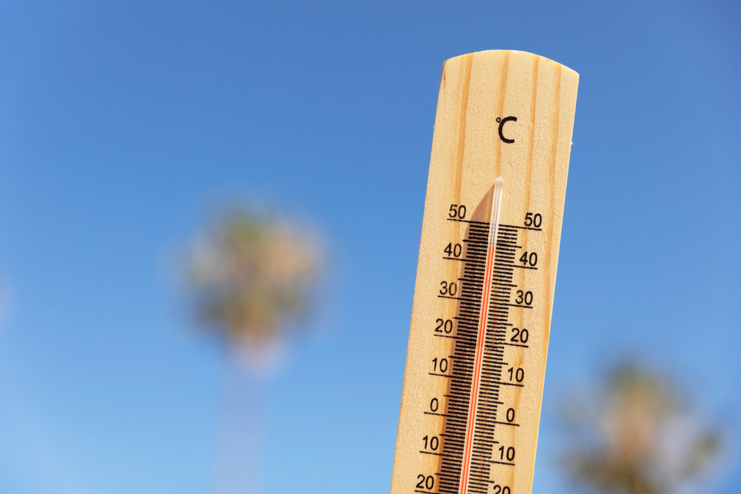 Klimatski alarm: Najtoplije ljeto u istoriji, a najgore tek dolazi!