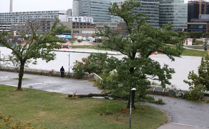 Kako je Beč uspio izbjeći katastrofalne poplave? Kako je Beč uspio izbjeći katastrofalne poplave?