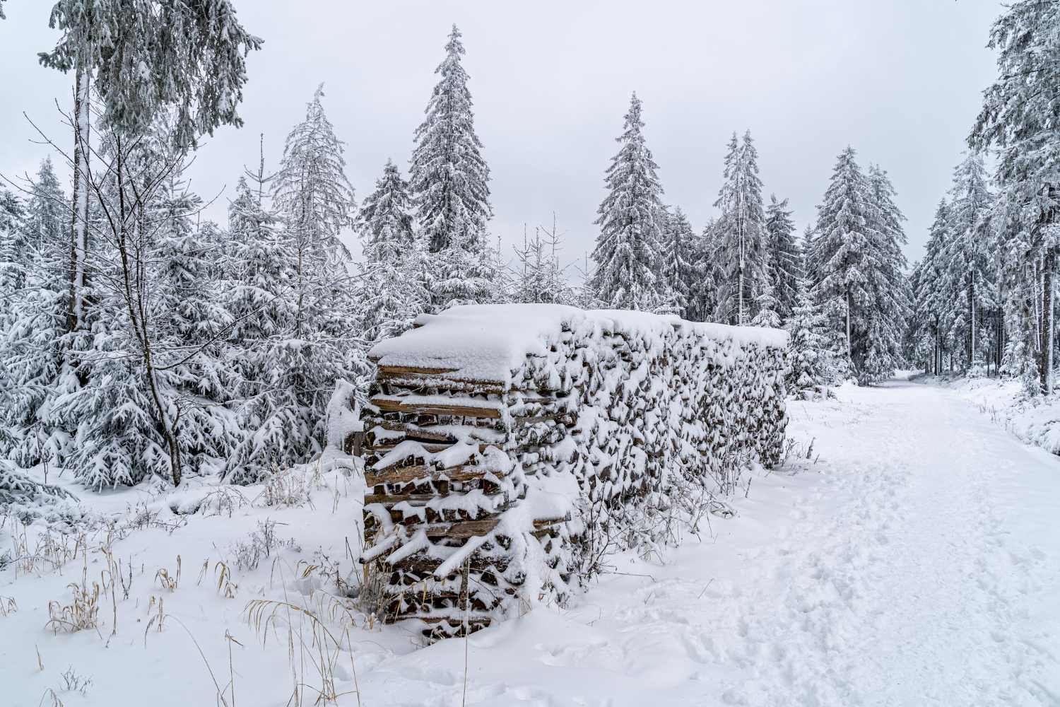 Upozorenje meteorologa: U Srpskoj obilne snježne padavine u narednih 48 sati, vjetar do 90 km/h Upozorenje meteorologa: U Srpskoj obilne snježne padavine u narednih 48 sati, vjetar do 90 km/h