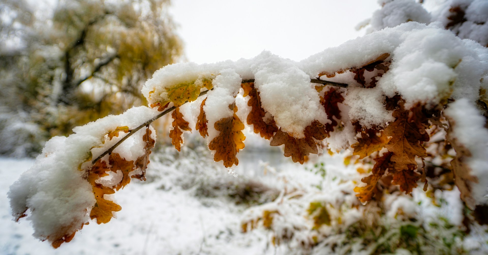 Meteorolozi otkrili kakvo nas vrijeme očekuje narednih dana Meteorolozi otkrili kakvo nas vrijeme očekuje narednih dana