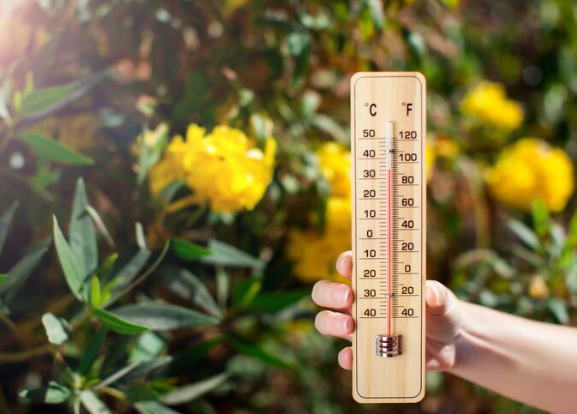 Hidrometeorološki zavod:Prethodna godina najtoplija od kada se vrše mjerenja