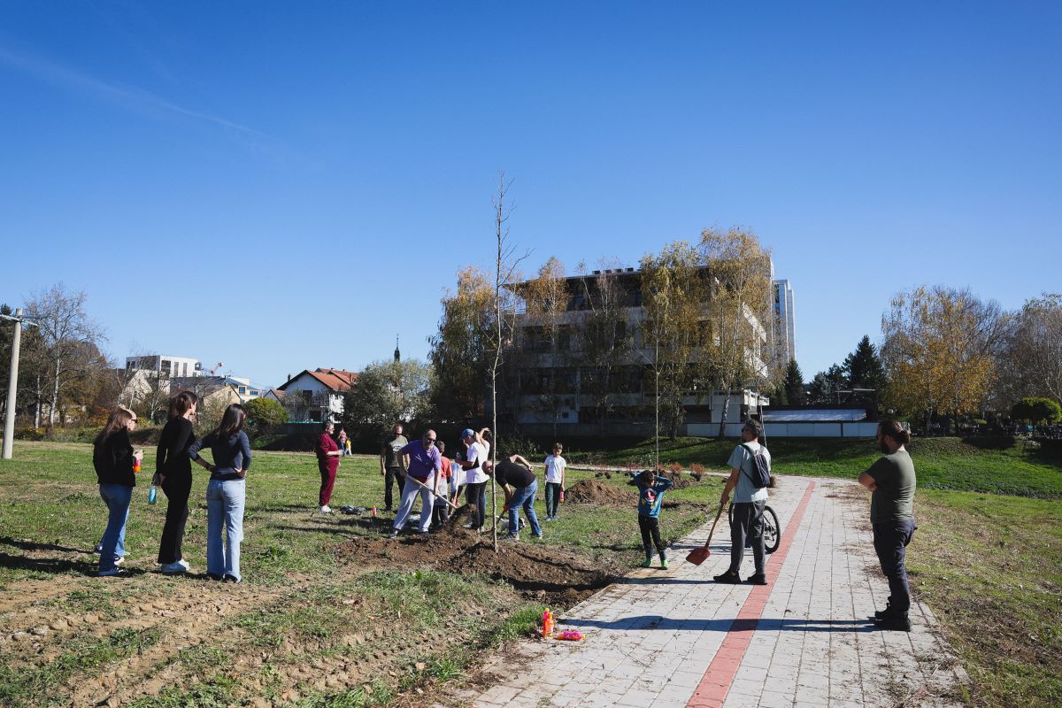 U toku uređenje javnih površina u gradu: Sadnja stotina novih sadnica u urbanom dijelu grada U toku uređenje javnih površina u gradu: Sadnja stotina novih sadnica u urbanom dijelu grada